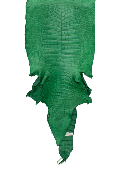 41 cm Grade 3/4 Kelly Green Matte Farm Raised American Alligator Leather - Tag: LA23-0000629