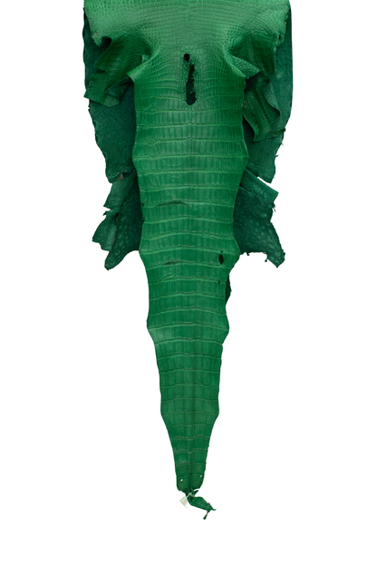 46 cm Grade 3/4 Kelly Green Matte Farm Raised American Alligator Leather - Tag: LA23-0000835