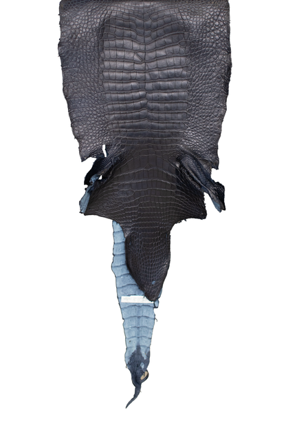 46 cm Grade 2/3 Navy Blue Matte (Dark Dye Lot) Wild American Alligator Leather - Tag: LA23-0001963