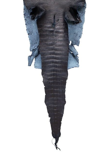 46 cm Grade 2/3 Navy Blue Matte (Dark Dye Lot) Wild American Alligator Leather - Tag: LA23-0001963