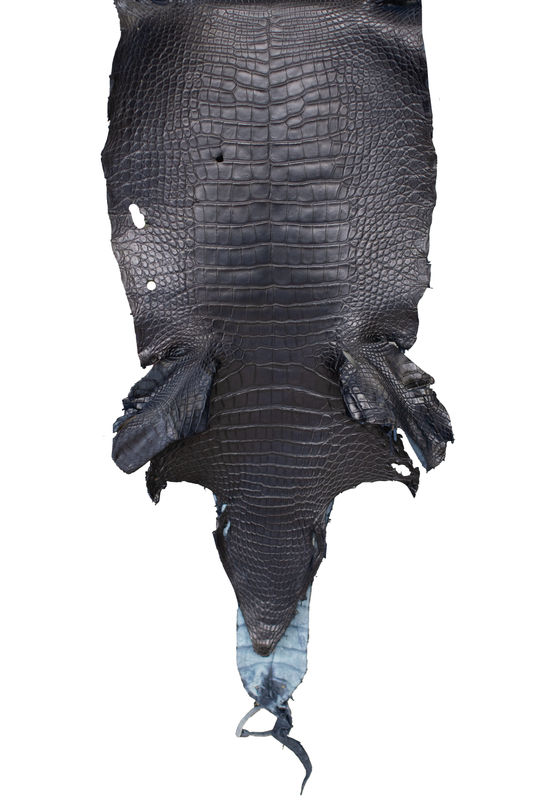 38 cm Grade 3/4 Navy Blue Matte (Dark Dye Lot) Wild American Alligator Leather - Tag: LA23-0003375