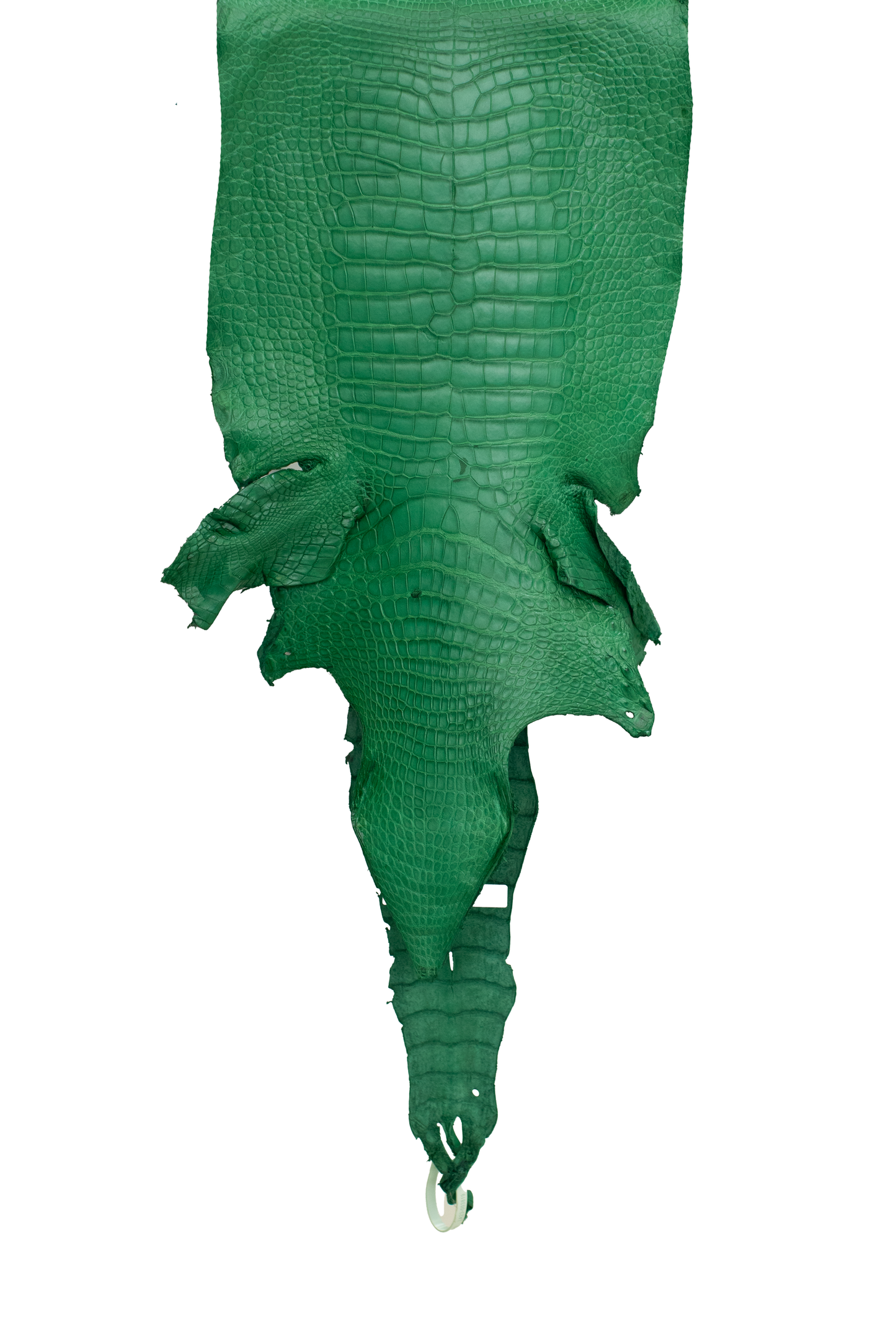 38 cm Grade 3/4 Kelly Green Matte Farm Raised American Alligator Leather - Tag: LA23-0003819