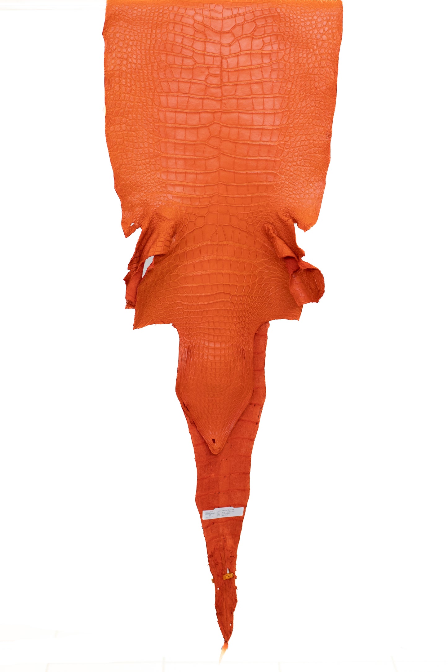 45 cm Grade 2/3 Orange Matte Wild American Alligator Leather - Tag: LA22-0013656
