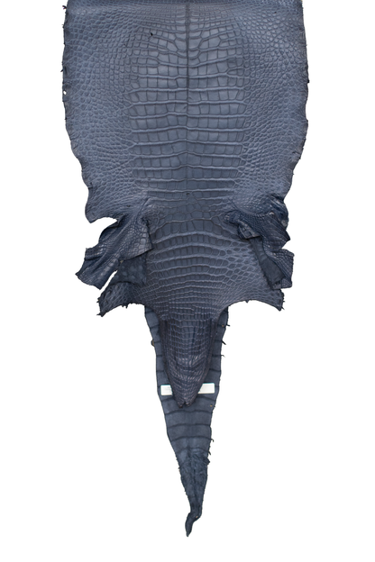 42 cm Grade 3/4 Navy Blue Matte Wild American Alligator Leather - Tag: LA18-0014325