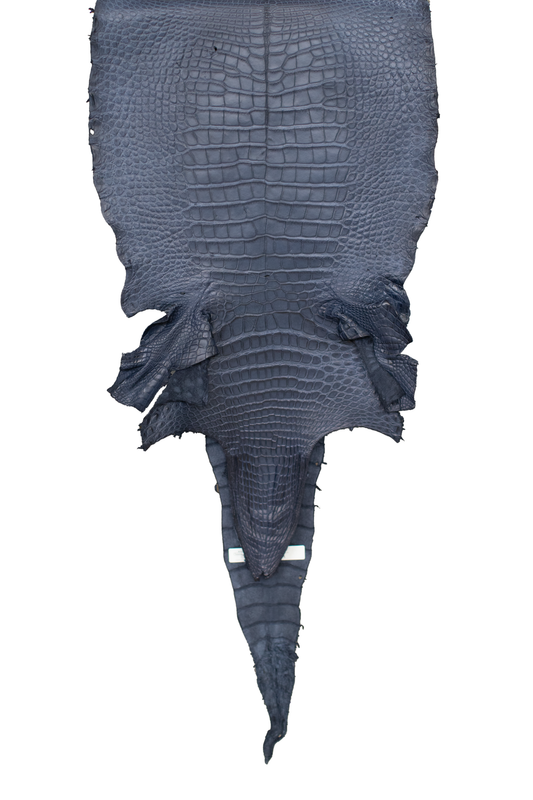 42 cm Grade 3/4 Navy Blue Matte Wild American Alligator Leather - Tag: LA18-0014325