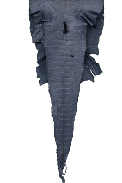 42 cm Grade 3/4 Navy Blue Matte Wild American Alligator Leather - Tag: LA18-0014325