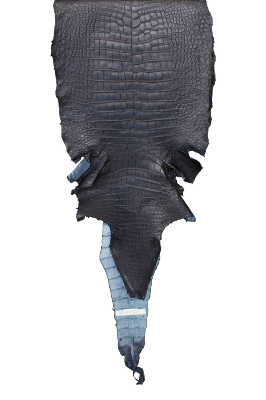 48 cm Grade 4/5 Navy Blue Matte (Dark Dye Lot) Wild American Alligator Leather - Tag: LA23-0014931