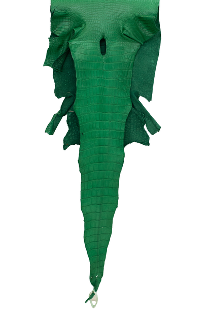 45 cm Grade 3/4 Kelly Green Matte Farm Raised American Alligator Leather - Tag: LA23-0016540