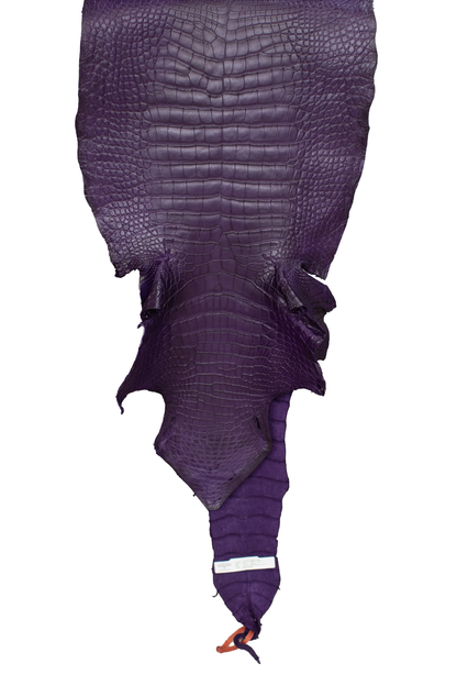 45 cm Grade 1/2 Violet Primavera Matte Wild American Alligator Leather - Tag: LA22-0020468