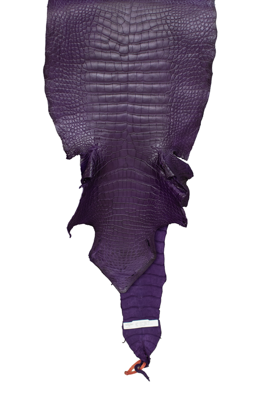 45 cm Grade 1/2 Violet Primavera Matte Wild American Alligator Leather - Tag: LA22-0020468
