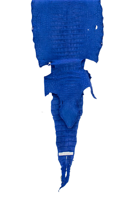 44 cm Grade 3/4 Navy Blue Nubuck Wild American Alligator Leather - Tag: LA22-0021549