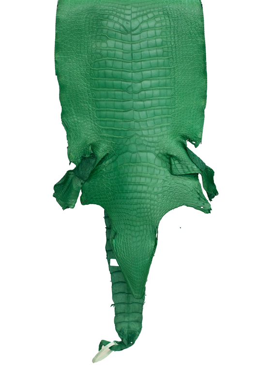 39 cm Grade 2/3 Kelly Green Matte Wild American Alligator Leather - Tag: LA23-0022804