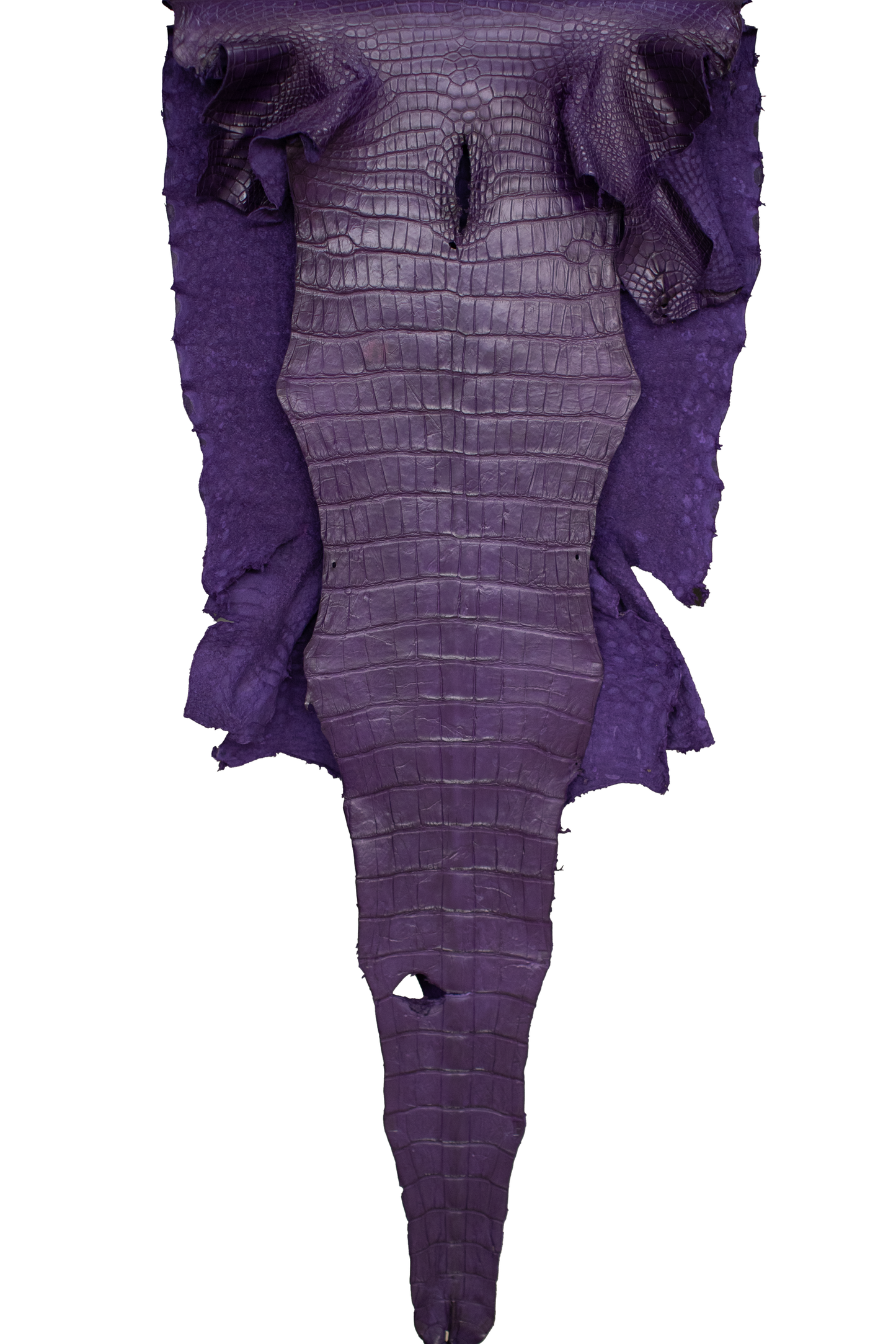56 cm Grade 3/4 Violet Primavera Matte Wild American Alligator Leather - Tag: LA23-0022935