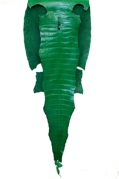 52 cm Grade 2/3 Libra Green Millennium Wild American Alligator Leather - Tag: LA22-0023999