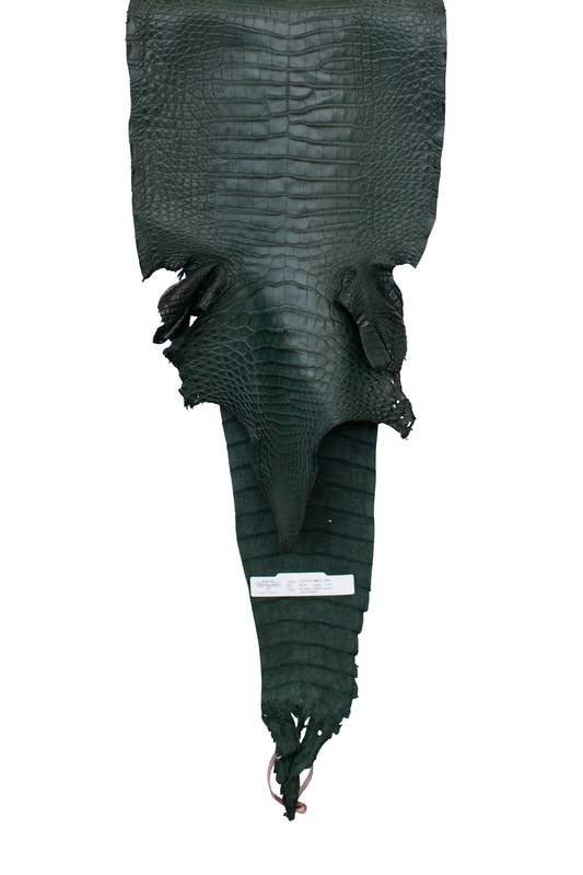 28 cm Grade 2/3 Forest Green Matte Farm Raised American Alligator Leather - Tag: FL21-0024102