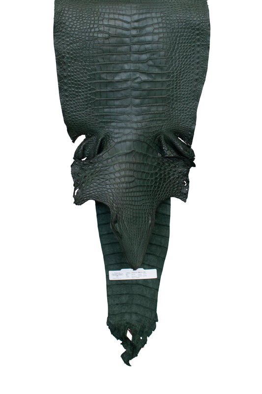 29 cm Grade 3/4 Forest Green Matte Farm Raised American Alligator Leather - Tag: FL21-0024128
