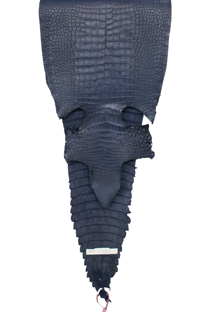 37 cm Grade 2/3 Space Blue Antique (Dark Dye Lot) Farm Raised American Alligator Leather - Tag: FL21-0024165