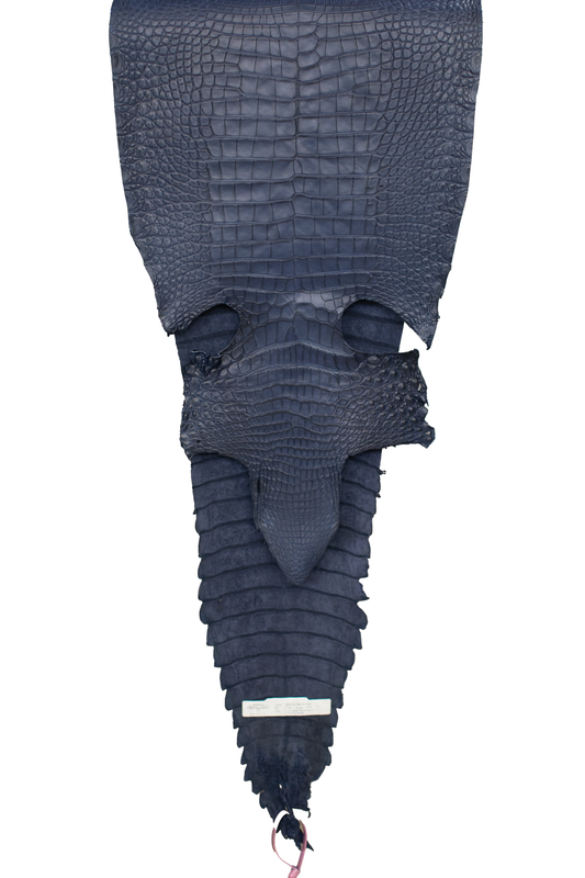 37 cm Grade 2/3 Space Blue Antique (Dark Dye Lot) Farm Raised American Alligator Leather - Tag: FL21-0024165