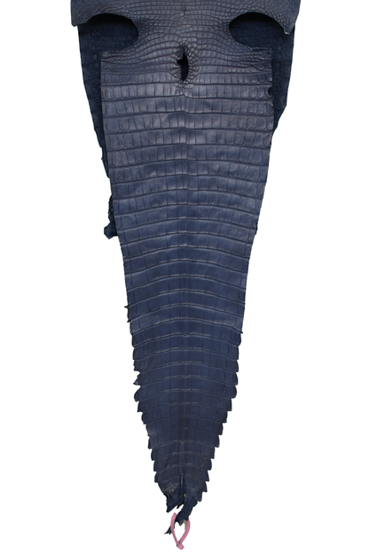 37 cm Grade 2/3 Space Blue Antique (Dark Dye Lot) Farm Raised American Alligator Leather - Tag: FL21-0024165