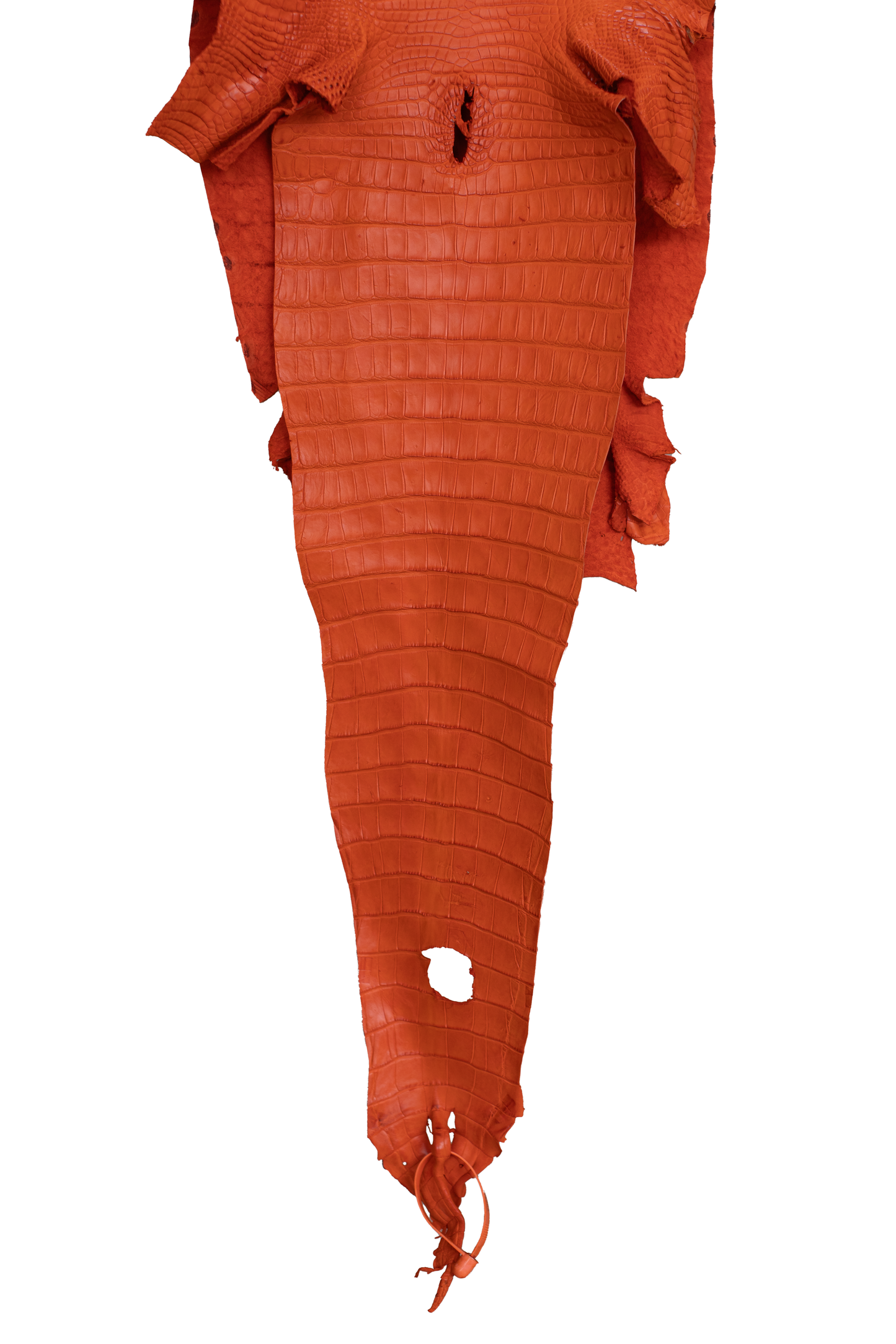 32 cm Grade 3/4 Orange Matte Farm American Alligator Leather - Tag: FL21-0024405