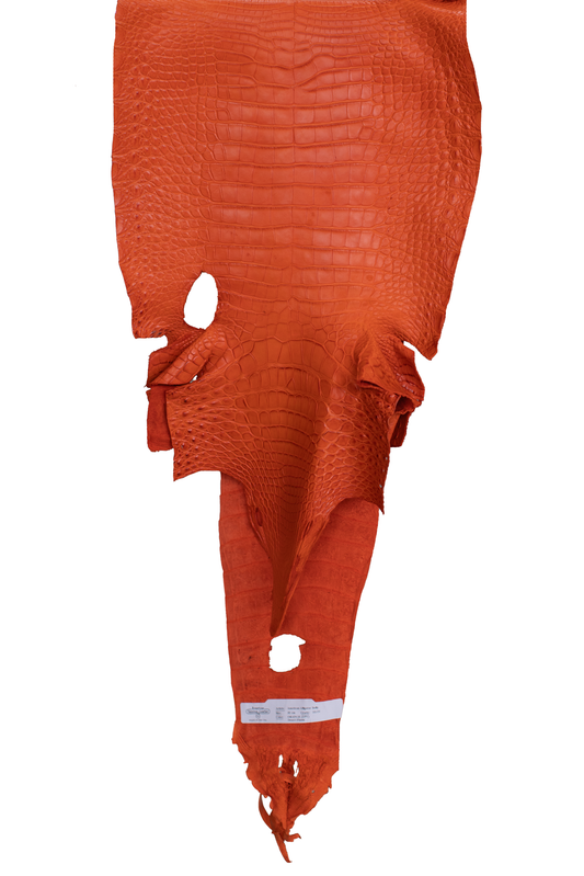 32 cm Grade 3/4 Orange Matte Farm American Alligator Leather - Tag: FL21-0024405