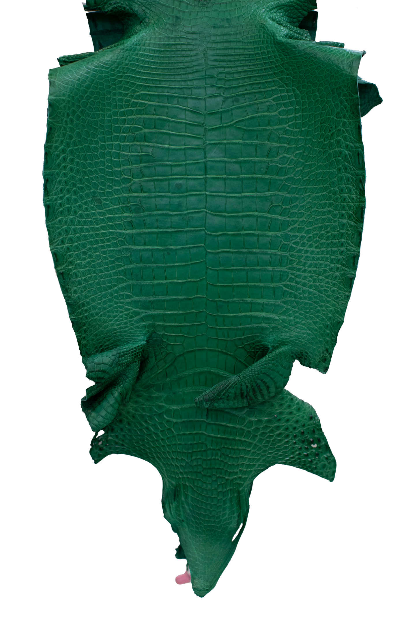 29 cm Grade 4/5 Kelly Green Matte Farm Raised American Alligator Leather - Tag: FL21-0024461