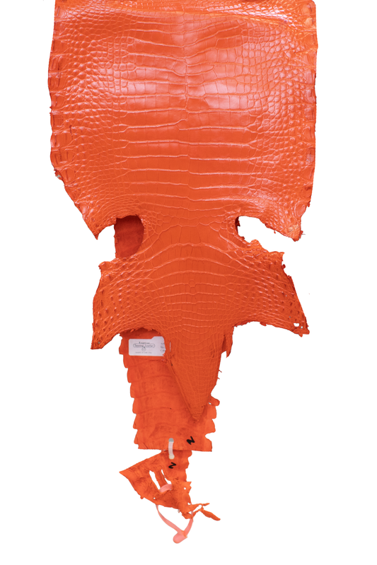 26 cm Grade 3/4 Orange Millennium Farm American Alligator Leather - Tag: FL21-0024614