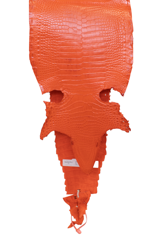 25 cm Grade 4/5 Orange Millennium Farm American Alligator Leather - Tag: FL21-0024621