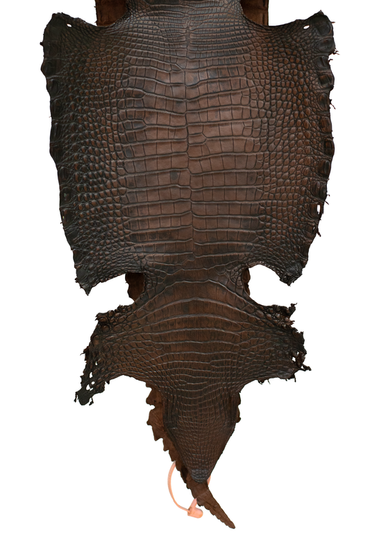 25 cm Grade 3/4 Whiskey Antique Matte Farm Raised American Alligator Leather - Tag: FL21-0024624