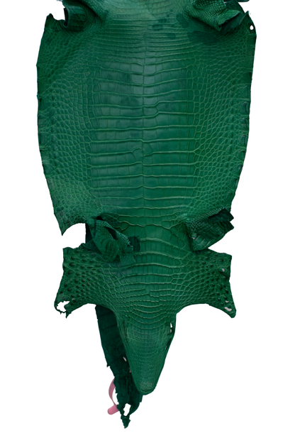 27 cm Grade 4/5 Kelly Green Matte Farm Raised American Alligator Leather - Tag: FL21-0024869