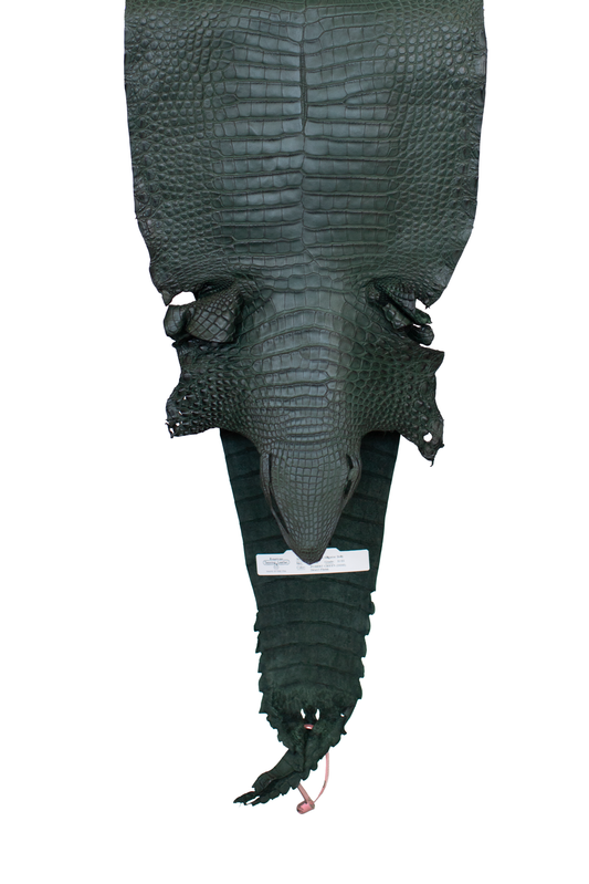29 cm Grade 2/3 Forest Green Matte Farm Raised American Alligator Leather - Tag: FL21-0024899