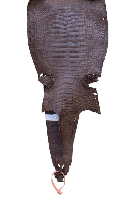 22 cm Grade 3/4 Miller Matte Farm Raised American Alligator Leather - Tag: FL21-0025023