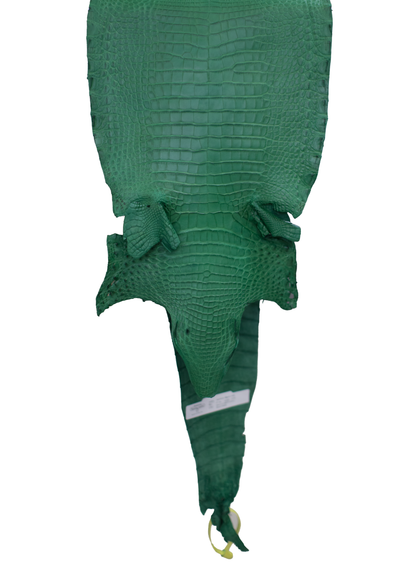 26 cm Grade 4/5 Kelly Green Matte Farm Raised American Alligator Leather - Tag: FL21-0025038