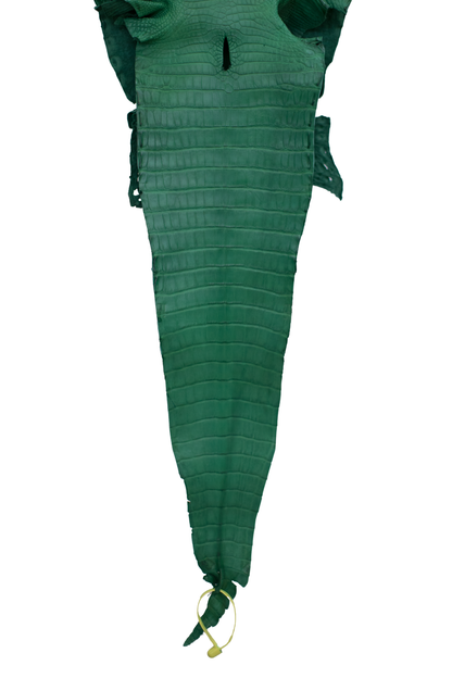 26 cm Grade 4/5 Kelly Green Matte Farm Raised American Alligator Leather - Tag: FL21-0025038