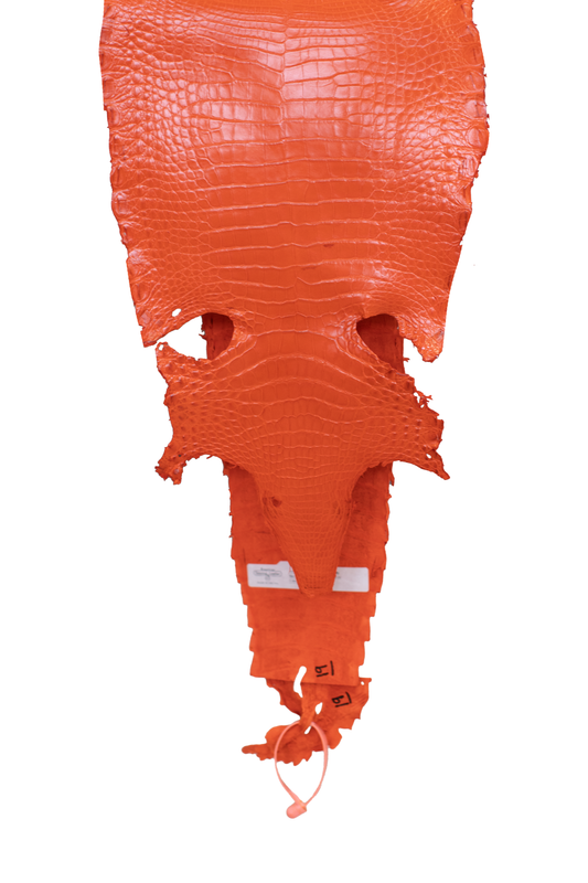 25 cm Grade 3/4 Orange Millennium Farm American Alligator Leather - Tag: FL21-0025049
