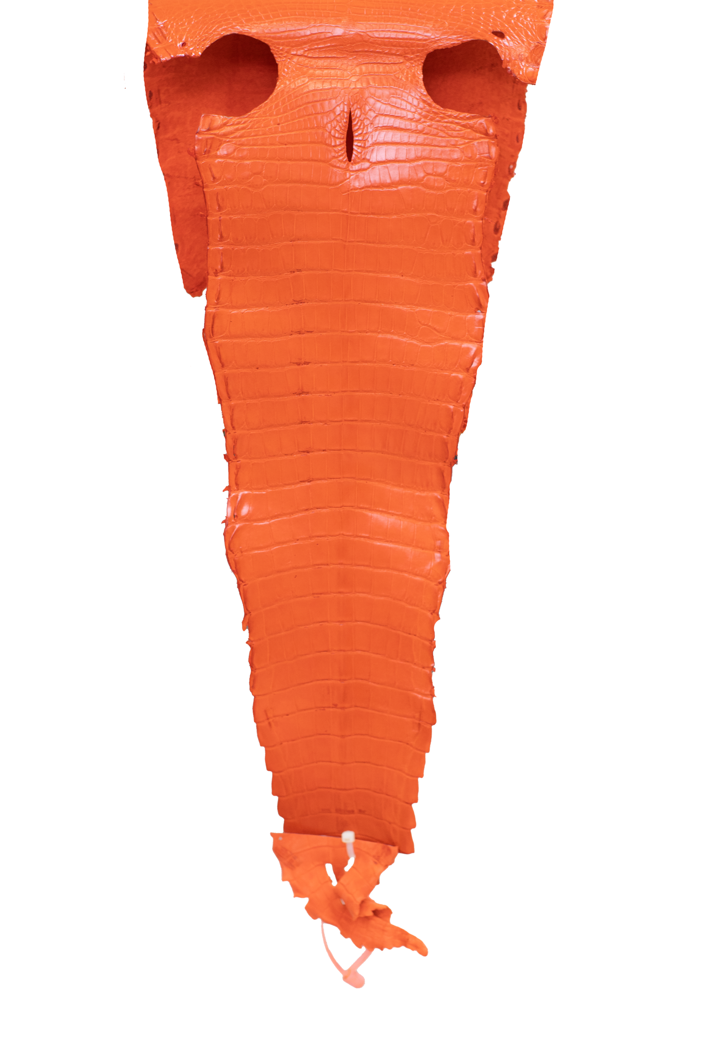 25 cm Grade 3/4 Orange Millennium Farm American Alligator Leather - Tag: FL21-0025049