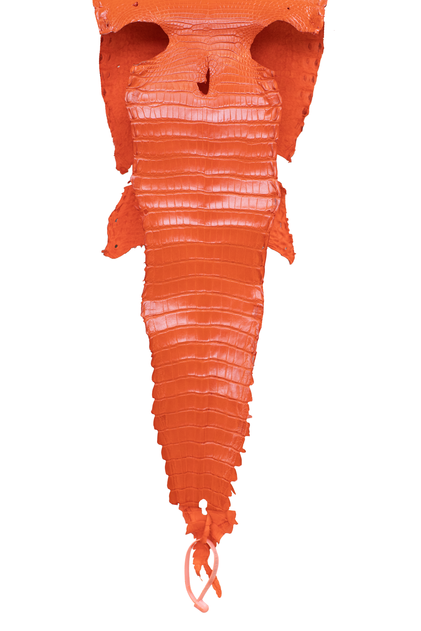 22 cm Grade 3/4 Orange Millennium Farm American Alligator Leather - Tag: FL21-0025054