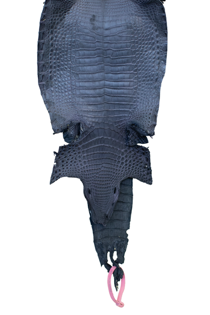 21 cm Grade 3/4 Blue Jean Matte Farm Raised American Alligator Leather - Tag: FL21-0025056