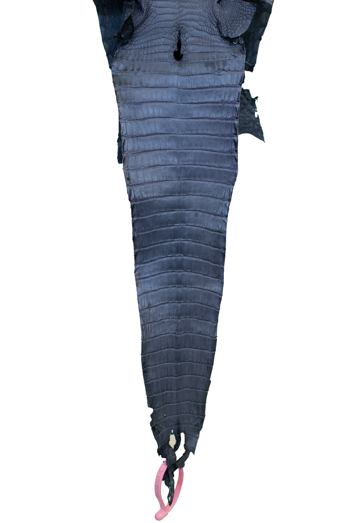 21 cm Grade 3/4 Blue Jean Matte Farm Raised American Alligator Leather - Tag: FL21-0025056