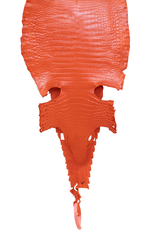 25 cm Grade 4/5 Orange Millennium Farm American Alligator Leather - Tag: FL21-0025095