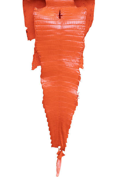 25 cm Grade 4/5 Orange Millennium Farm American Alligator Leather - Tag: FL21-0025095