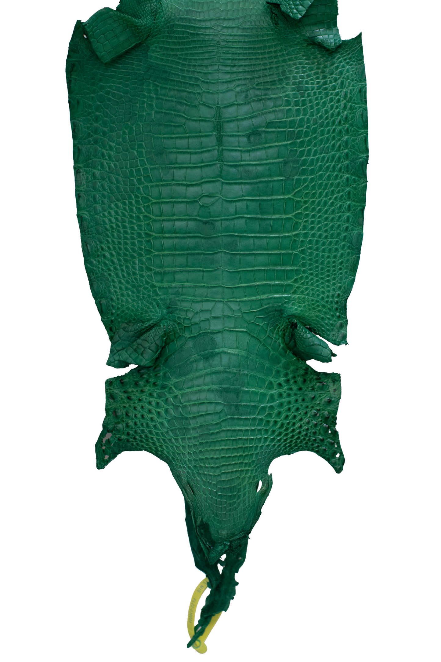 27 cm Grade 4/5 Kelly Green Matte Farm Raised American Alligator Leather - Tag: FL22-0030005