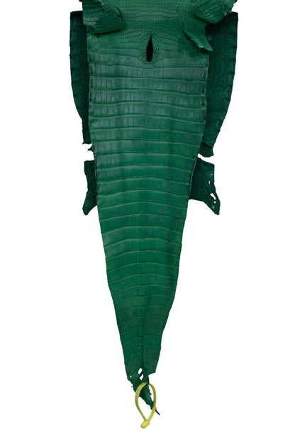 27 cm Grade 4/5 Kelly Green Matte Farm Raised American Alligator Leather - Tag: FL22-0030005