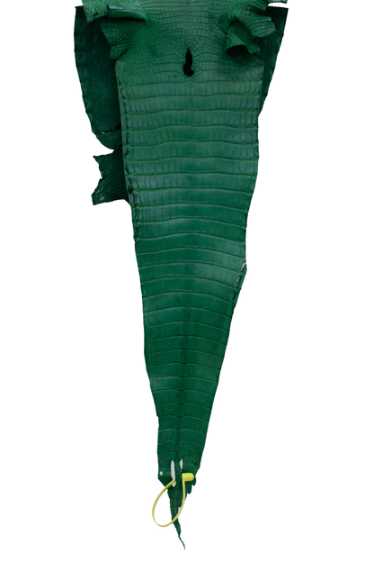 25 cm Grade 4/5 Kelly Green Matte Farm Raised American Alligator Leather - Tag: FL22-0030020