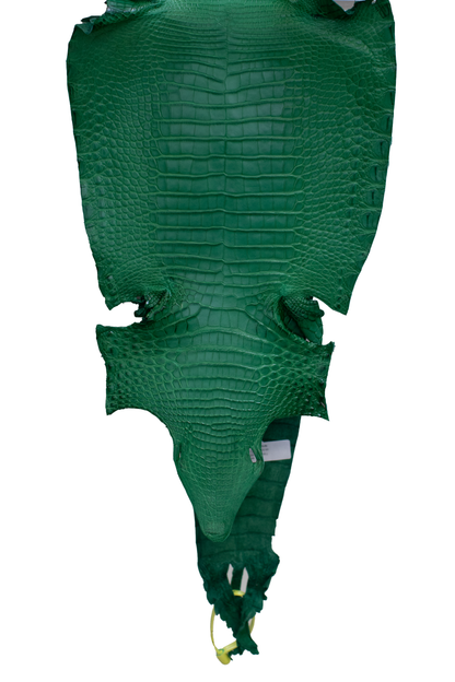 26 cm Grade 2/3 Kelly Green Matte Farm Raised American Alligator Leather - Tag: FL22-0030024