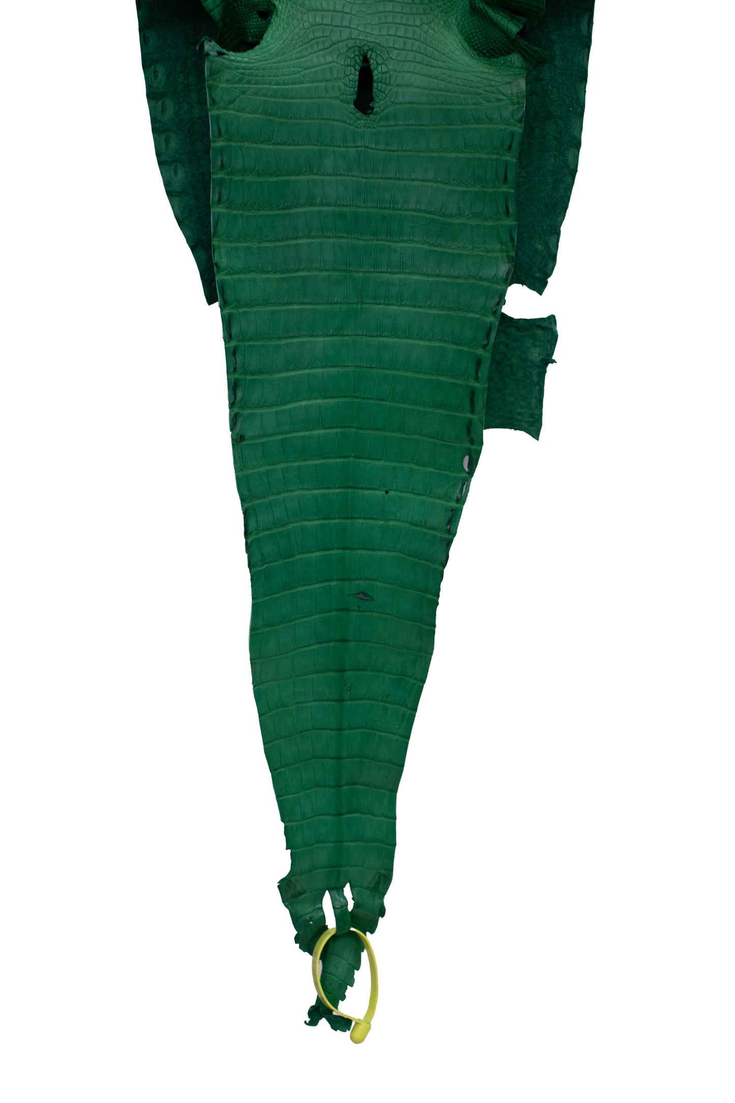 26 cm Grade 2/3 Kelly Green Matte Farm Raised American Alligator Leather - Tag: FL22-0030024