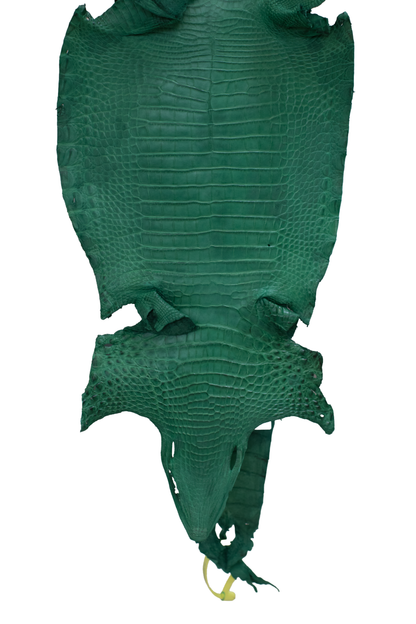 27 cm Grade 4/5 Kelly Green Matte Farm Raised American Alligator Leather - Tag: FL22-0030032