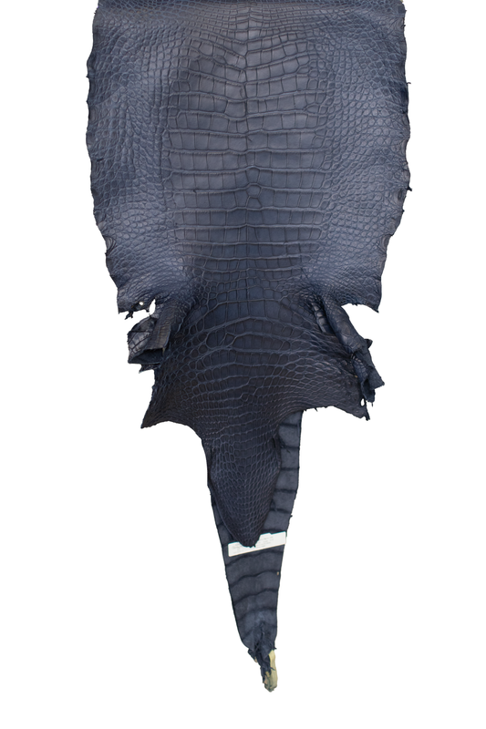 42 cm Grade 2/3 Navy Blue Matte Wild American Alligator Leather - Tag: LA16-0030076