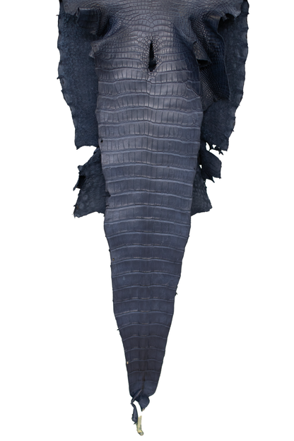42 cm Grade 2/3 Navy Blue Matte Wild American Alligator Leather - Tag: LA16-0030076