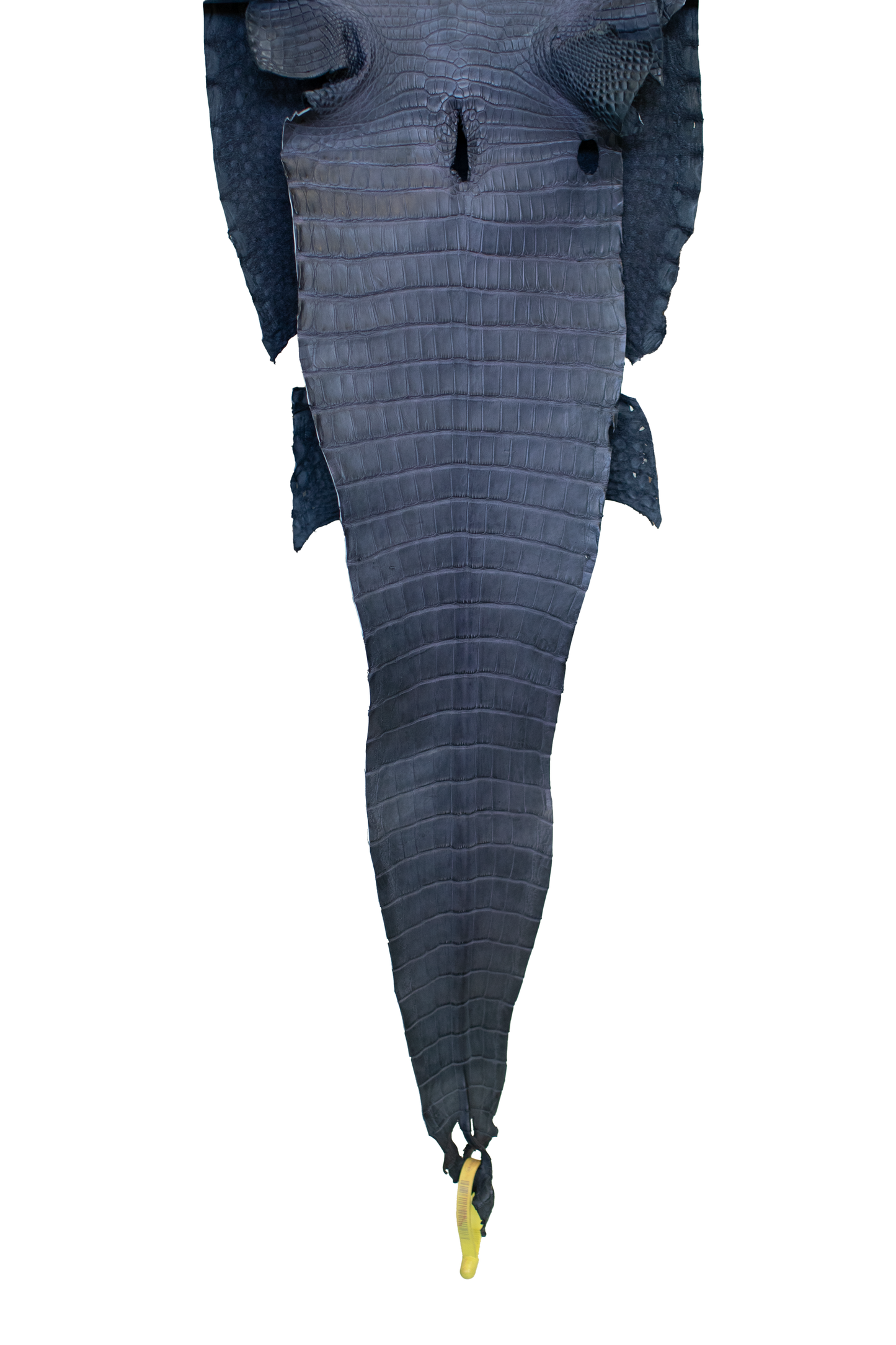 30 cm Grade 2/3 Blue Jean Matte Farm Raised American Alligator Leather - Tag: FL22-0030078